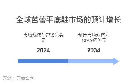 025年芭蕾平底鞋市场AG真人地址全面解析2(图2)