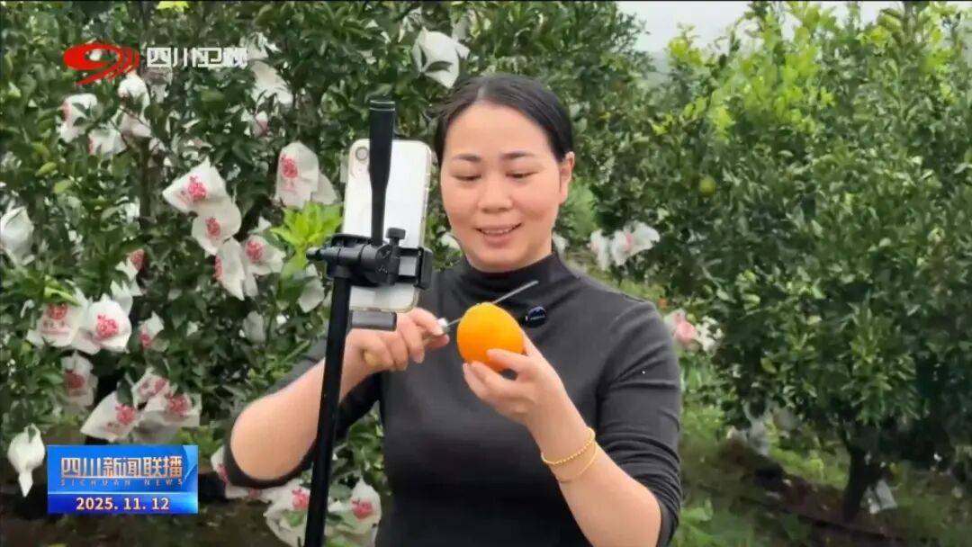 线”看四川平台经济进阶路AG真人网站提振消费 一(图3) 线”看四川平台经济进阶路AG真人网站提振消费 一(图3)