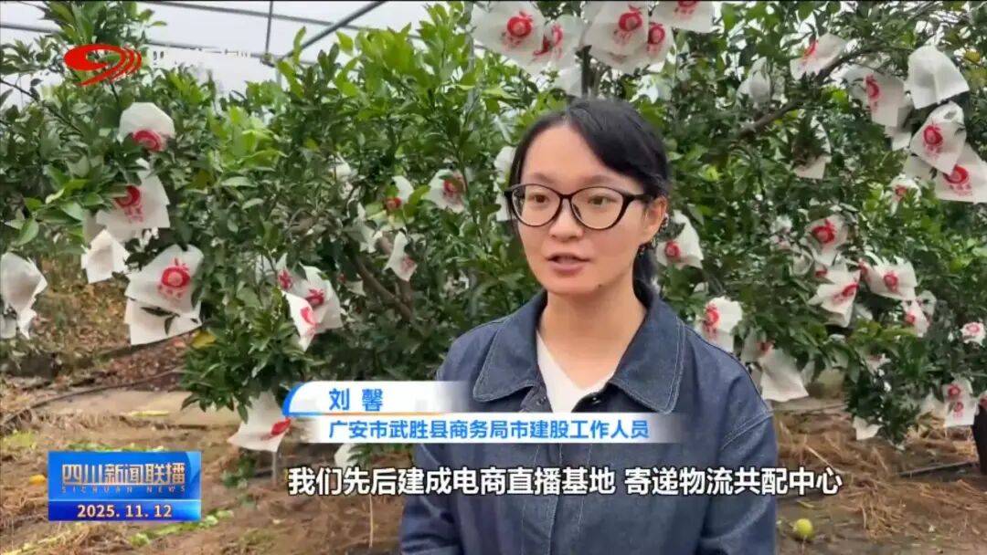 线”看四川平台经济进阶路AG真人网站提振消费 一(图7) 线”看四川平台经济进阶路AG真人网站提振消费 一(图7)