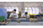 级成立商家权益保护委员会深化新质供给AG
